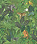 Galerie Blooming Wild Green/Grey/Brown Amazon Motif Wallpaper Roll