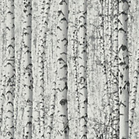 Galerie Blooming Wild Grey/White Birch Tree Motif Wallpaper Roll