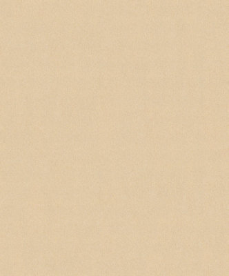 Galerie Blooming Wild Metallic Beige Plain Texture A4 Wallpaper Sample