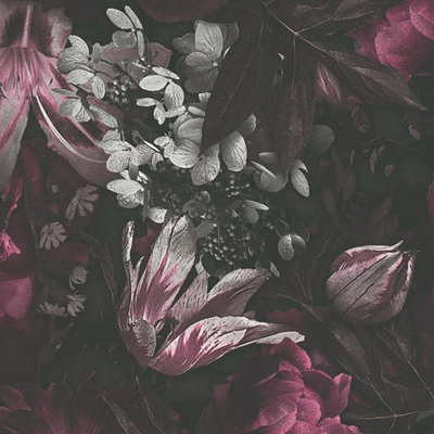 Galerie Blooming Wild Purple/Black Antique Floral Motif Wallpaper Roll
