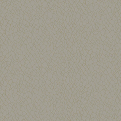 Galerie Boutique Collection Metallic Webbing Wallpaper