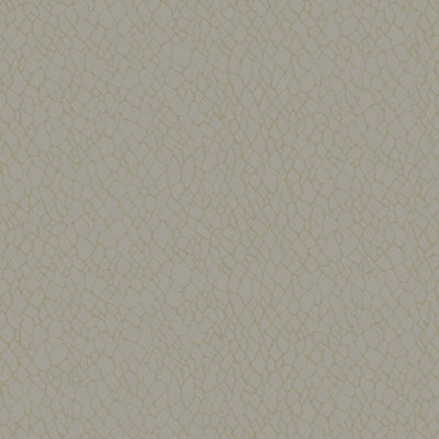 Galerie Boutique Collection Metallic Webbing Wallpaper