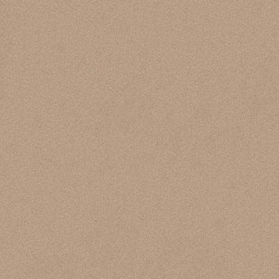 Galerie Escape Brown Sand Plain Texture Smooth Wallpaper