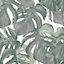 Galerie Escape Cream, Green, Grey Leaf Trail Smooth Wallpaper
