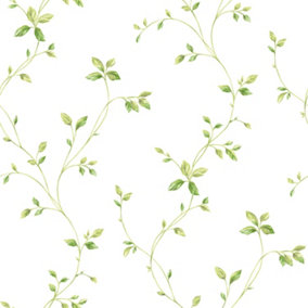 Galerie Fresh Kitchens 5 Green Plant Vine Smooth Wallpaper