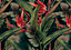 Galerie Havana Red Large Floral Plant Wall Mural