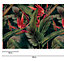 Galerie Havana Red Large Floral Plant Wall Mural