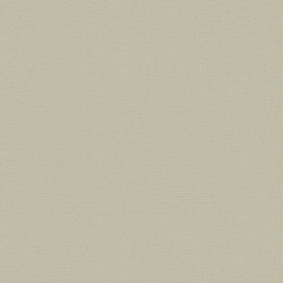 Galerie Home Collection Beige Plain Abstract Wallpaper Roll