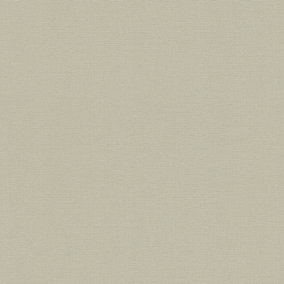 Galerie Home Collection Beige Plain Abstract Wallpaper Roll