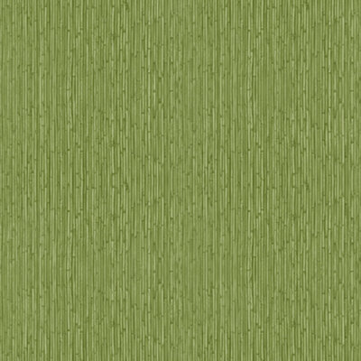 Galerie Into The Wild Green Bamboo Stripe Wallpaper Roll