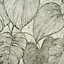 Galerie Julie Feels Home Green Large Shimmery Monstera Leaf Wallpaper Roll