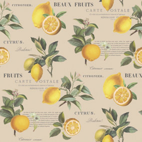 Galerie Just Kitchens Beige Citron Botanical Wallpaper Roll