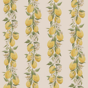Galerie Just Kitchens Beige Lemon Stripe Wallpaper Roll