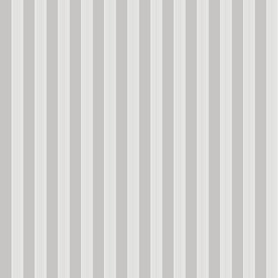 Galerie Little Explorers 2 Grey Vertical Ribbon Wallpaper Roll