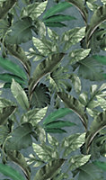 Galerie Loft 2 Green Tropical Leaves With Green Textured Background 3-panel (3 x 2.7m) Wall Mural