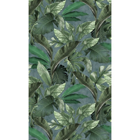 Galerie Loft 2 Green Tropical Leaves With Green Textured Background 3-panel (3 x 2.7m) Wall Mural