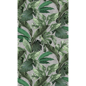 Galerie Loft 2 Green Tropical Leaves With Grey Textured Background 3-Panel (3 x 2.7m) Wall Mural