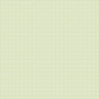 Galerie Miniatures 2 Green White Small Gingham Plaid Smooth Wallpaper