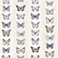 Galerie Organic Textures Beige Blue Jewel Butterflies Stripe Textured Wallpaper