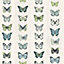 Galerie Organic Textures Blue Beige Green Jewel Butterflies Stripe Textured Wallpaper