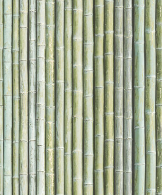 Galerie Organic Textures Green Bamboo Textured Wallpaper