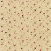 Galerie Pretty Prints Beige/Red Lauras Floral Trail Wallpaper Roll