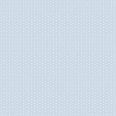 Galerie Pretty Prints Light Blue Swiss Dot Motif Wallpaper Roll