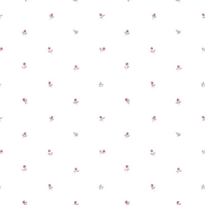 Galerie Rose Garden Pink Small Rose Motif Smooth A4 Wallpaper Sample