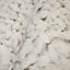 Galerie Salt Arco Sesame 3D Embossed Lustre Flower Leaf Wallpaper Roll