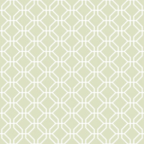Galerie Secret Garden Green/White Octogonal Trellis Wallpaper Roll