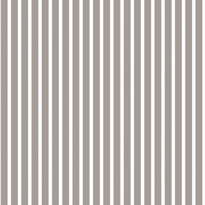 Galerie Smart Stripes 2 Silver Grey Butcher Stripe Smooth Wallpaper