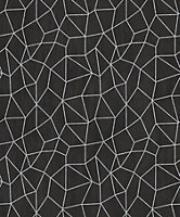 Galerie Special FX Black Silver Glitter Web Embossed Wallpaper