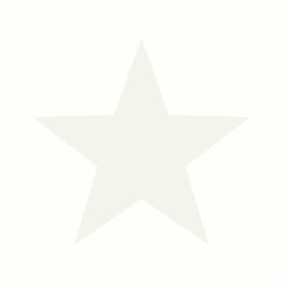 Galerie Style Sisters Single Star Pearl White Cream SS21247 A4 Wallpaper Sample