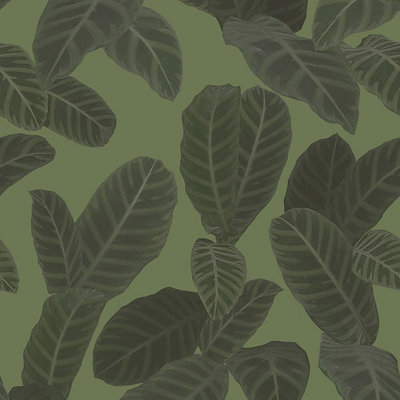 Galerie Ted Baker Eden Green Piner Large Leaf Wallpaper Roll