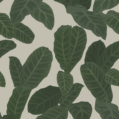 Galerie Ted Baker Eden Taupe/Gree Piner Large Leaf Wallpaper Roll