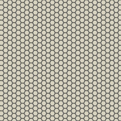Galerie Ted Baker Fantasia Black Geometric Hexie Wallpaper Roll
