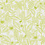 Galerie Ted Baker Fantasia Lime Green Monflo Leaf Wallpaper Roll