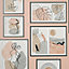 Gallery Wall Wallpaper Dusky Pink Crown M1714