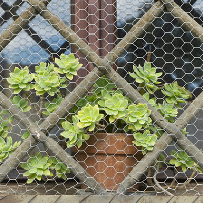 Galvanized Large Hexagonal Wire Mesh Fencing Aviary Net 0.9 x 5 m