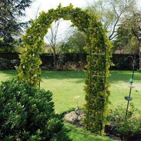 Garden Arch Outdoor Tree Plant Growing Support Flowers 2.4 Meters Stylish