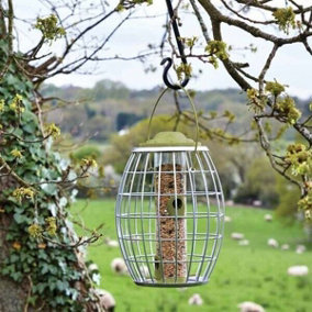 Garden Bird Feeder Peanut Hanging Feeding Station Squirrel Proof Outdoor