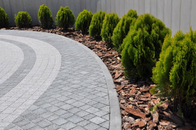 A patio bordered with bark and neatly pruned dwarf shrubs.