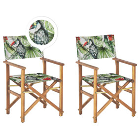 Garden Chair Set of 2 Wood Green CINE