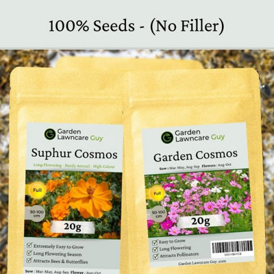 Garden Cosmos Seeds Pink & White 20g - 5