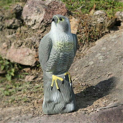Garden Falcon Bird Deterrent Pest Control