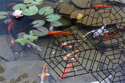 Garden Floating Interlocking Fountain Pond and Fish Protector Rings - Pack of 20