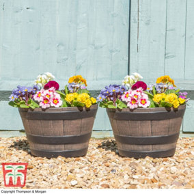 Garden Flower Wooden Effect Barrel Planter, Outdoor Half Whiskey Cask Flower Pot, Indoor (x2 Small)