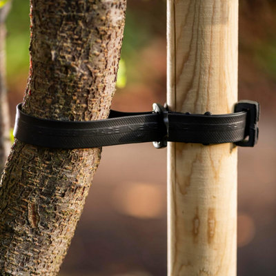 Garden Gear Heavy Duty Buckle Tree Tie 60cm x 25mm Polycarbonate Tree ...