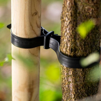 Garden Gear Heavy Duty Buckle Tree Tie 60cm x 25mm Polycarbonate Tree ...