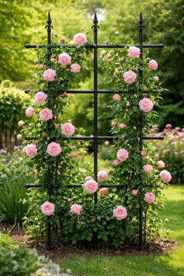 Garden Gear Metal Rose Trellis Plant Support Frame W90 x H150cm